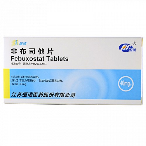 瑞扬  非布司他片  40mg*10片