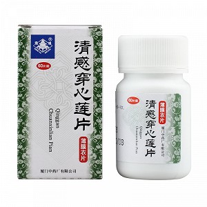 鼎炉 清感穿心莲片（薄膜衣） 0.26g*60片 