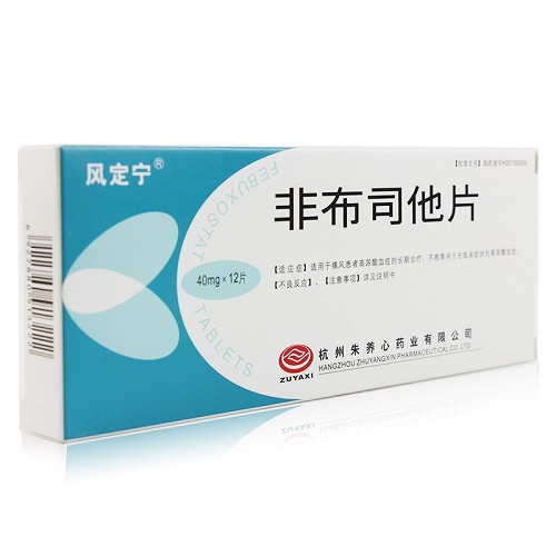 风定宁非布司他片40mg*12片价格及说明书-功效与作用-亮健好药网