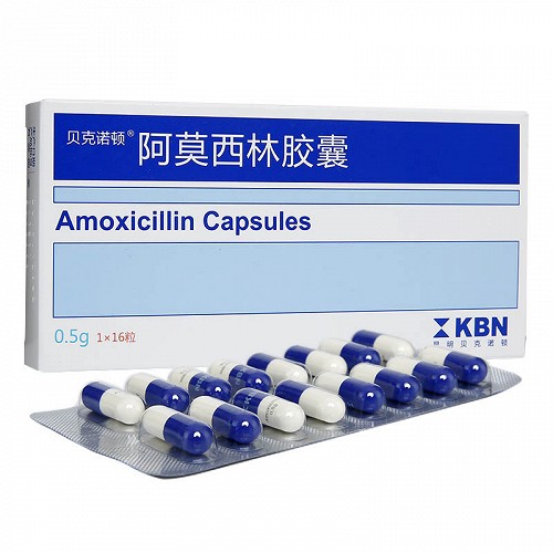 KBN 阿莫西林胶囊    0.5gX16粒