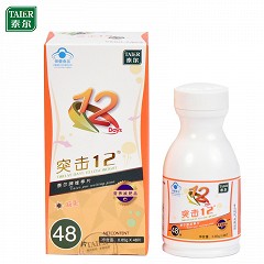 泰尔 维亭片（突击12）