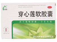 颐圣 穿心莲软胶囊 0.4g*12粒