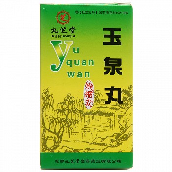 九芝堂 玉泉丸（浓缩丸） 60g 