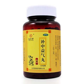 九芝堂 补中益气丸（小蜜丸） 120g