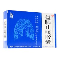 飞云岭 益肺止咳胶囊 0.3g*24粒