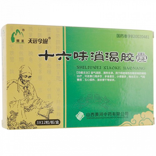 颐圣 十六味消渴胶囊 0.4g*12粒*3板
