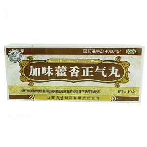 紫金山泉 加味藿香正气丸 9g*10粒