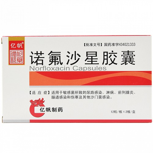 亿帆诺氟沙星胶囊01g24粒