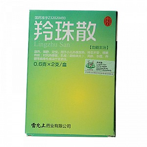 雷允上 羚珠散 0.6g*2支