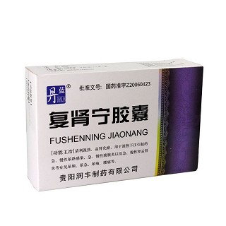 丹蓝 复肾宁胶囊 0.4g*48粒