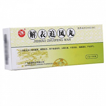 雄狮 解表追风丸 2.5g*10丸用法用量