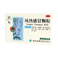 云丰 风热感冒颗粒   10g*6袋