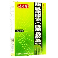 兆誉隆 脂脉康胶囊 0.3g*20粒