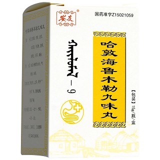 安友 哈敦海鲁木勒九味丸 15g