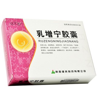 亦芝堂 乳增宁胶囊 0.5g*72粒