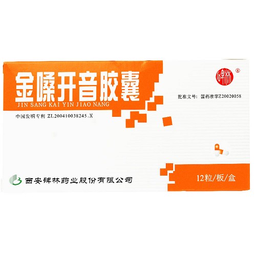 碑林  金嗓开音胶囊  0.4g*12粒