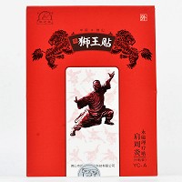 狮王贴 永磁理疗贴(肩周炎) 100mm*120mm*4贴