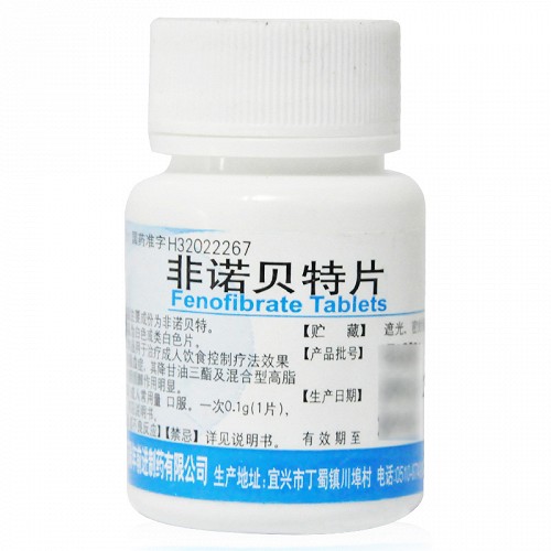 前药 非诺贝特片 0.1g*100片