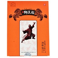 狮王贴 永磁理疗贴(颈椎病) 70mm*70mm*4贴