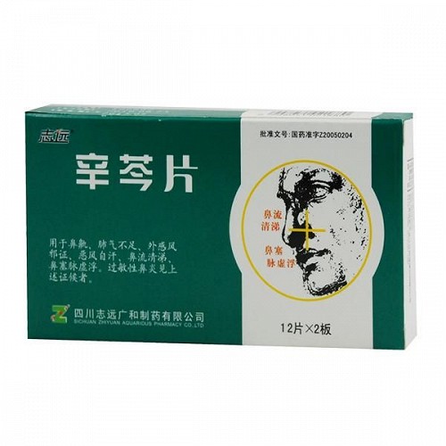 志远辛芩片08g24片