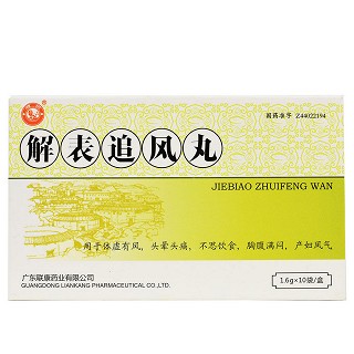 雄狮解表追风丸1.6g*10袋价格及说明书-功效与作用-亮健好药网