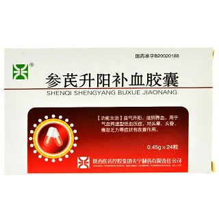 天宁制药 参芪升阳补血胶囊 0.45g*24粒