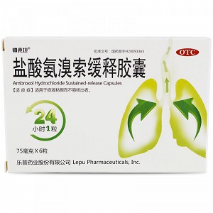 帅克坦 盐酸氨溴索缓释胶囊 75mg*6粒