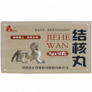 扶正 结核丸 9g*10丸