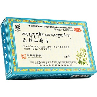 武都 元胡止痛片 0.25g*24片