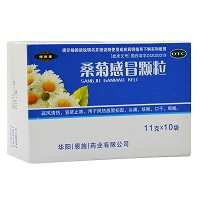 施恩 桑菊感冒颗粒 11g*10袋