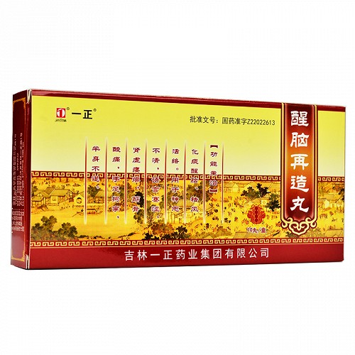 一正醒脑再造丸9g10丸