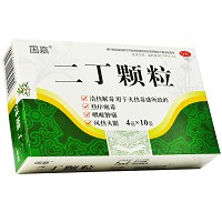 国嘉 二丁颗粒 4g*10袋