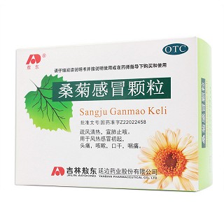 敖东 桑菊感冒颗粒 11g*10袋