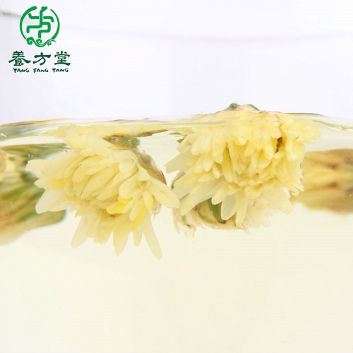 养方堂 胎菊 50g