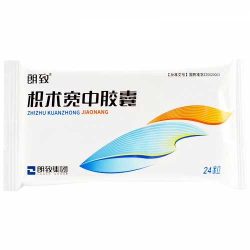 朗致 枳术宽中胶囊 0.43g*24粒