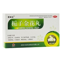 普林松 栀子金花丸 9g*10袋