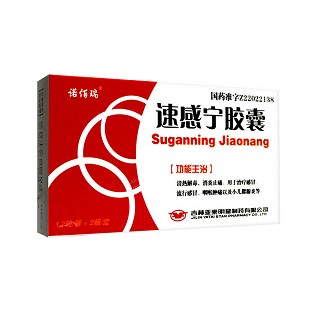 诺佰瑞 速感宁胶囊 0.3g*24粒