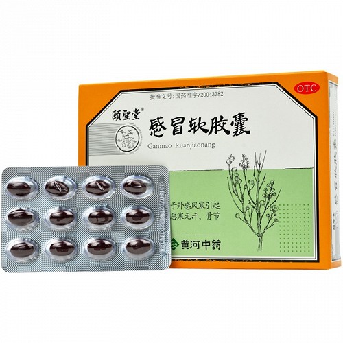 颐聖堂 感冒软胶囊 0.425g*24粒