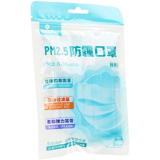 艾暖 PM2.5防霾口罩 平面5只