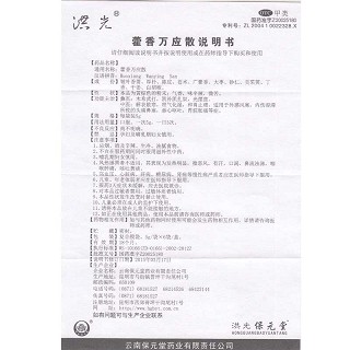 洪光 藿香万应散 5g*10袋