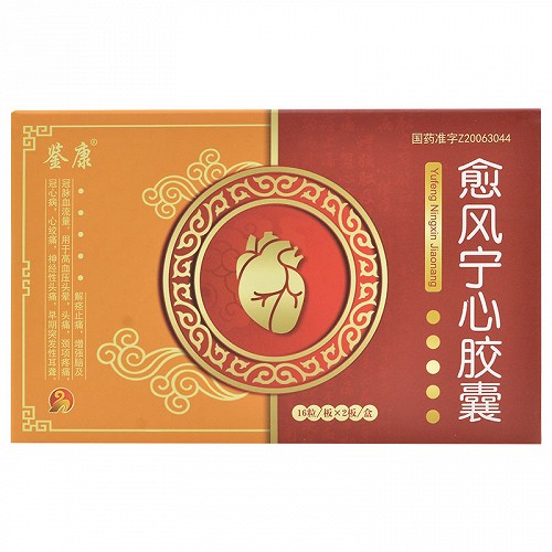 鉴康 愈风宁心胶囊 0.4g*32粒