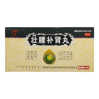 丹龙 壮腰补肾丸 10g*10丸