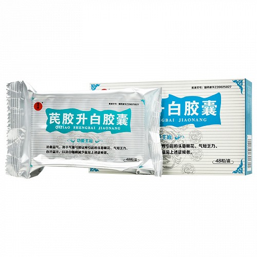 芪胶升白胶囊 0.5g*48粒