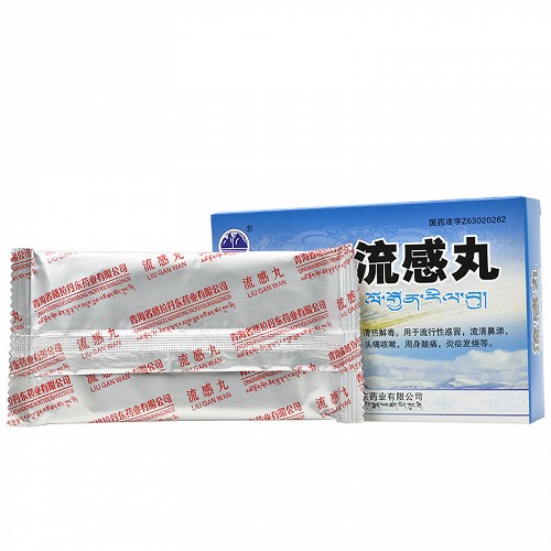 格拉丹东 流感丸 0.25g*30丸
