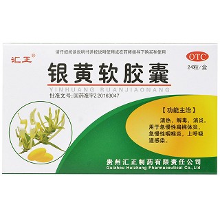 汇正 银黄软胶囊 0.5g*12粒*2板