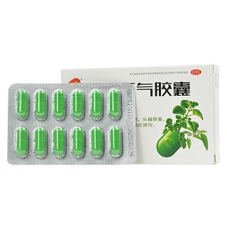 远健 藿香正气胶囊 0.3g*12粒