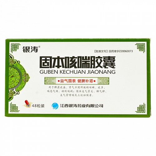 银涛 固本咳喘胶囊 0.4g*12粒*4板