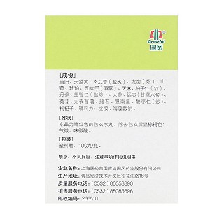 国风 健脑丸 100丸
