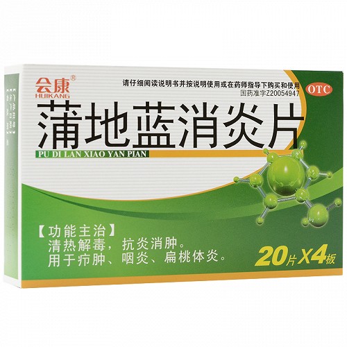 会康 蒲地蓝消炎片 0.25g*20片*4板