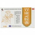 修正 胃康灵胶囊 0.4g*24粒